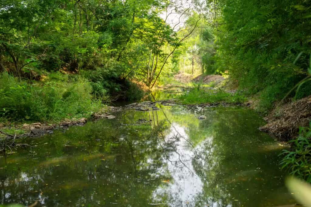 Natural water stream flowing through Green Lakes property