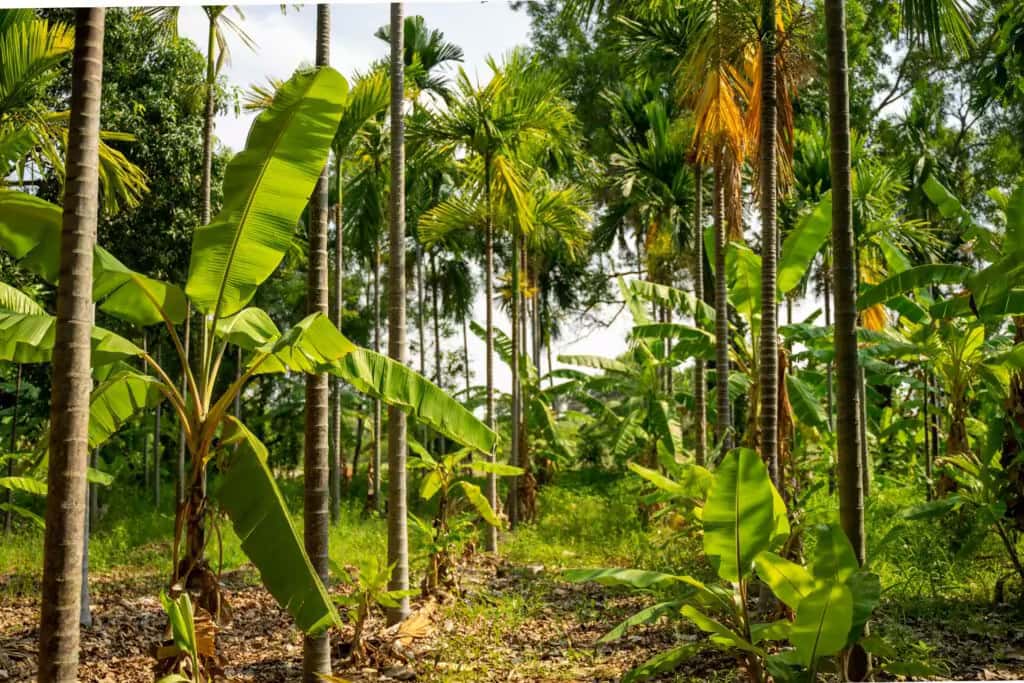 Farm visit and tour at Green Lakes property