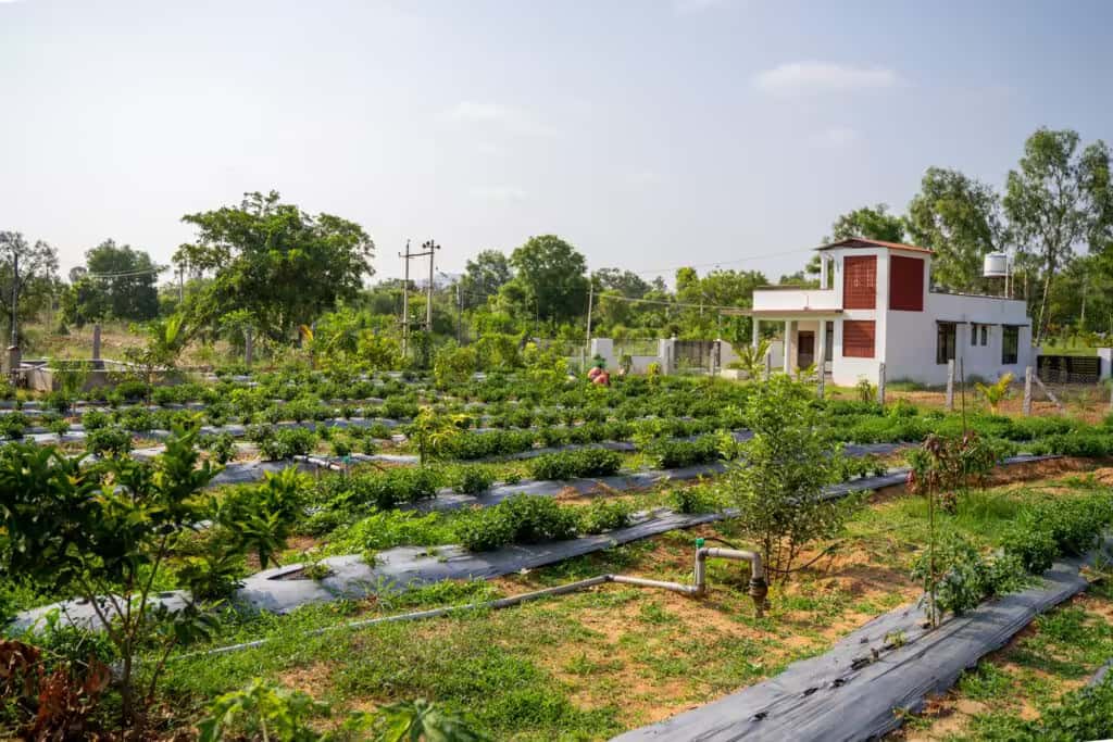 Tour of amenities during Green Lakes site visit