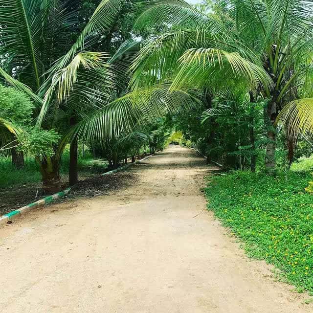 Panoramic view of Green Lakes farmland