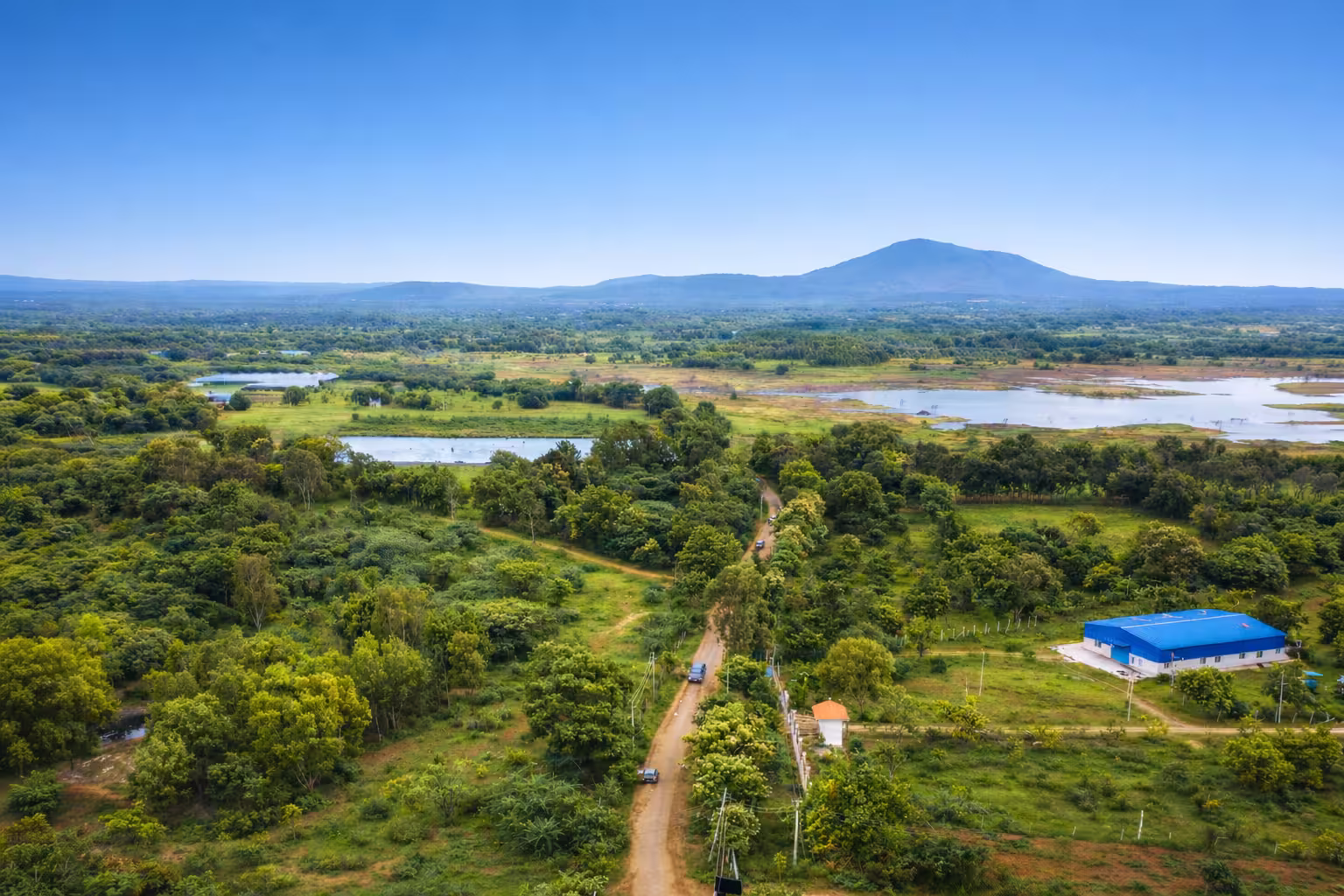Lush green managed farmland at Green Lakes