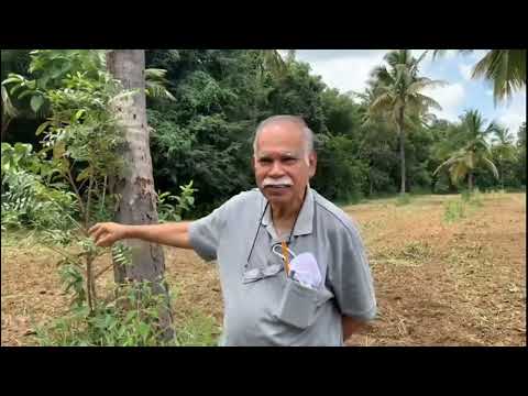 Mr. Govind - Farm Owner